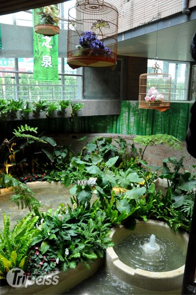日據時代的蓄水池被保存下來，重新注入活水並種植台灣原生植物。（攝影／景點家李欣怡）