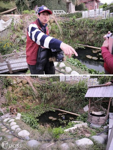 上圖：農場主人陳開心為遊客們解說生態水池的打造過程。下圖：透過池子裡的鬥魚將孓孑吃掉，農場內不易滋生蚊蟲，也減少了周邊蚊蟲侵害的問題。（攝影／景點家陳冠鑫）
