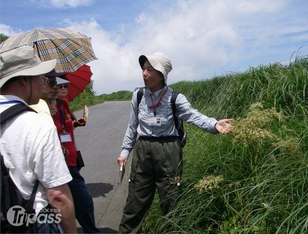 欲了解草山生態，也可參加導覽活動。（圖片提供／陽明山國家公園管理處）