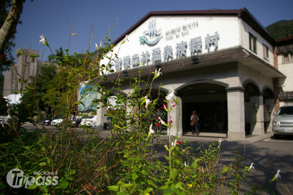 全台唯一同時擁有「低海拔熱帶雨林」與「優質溫泉」的三峽大板根森林溫泉渡假村將在台北國際觀光博覽會提供超多好康優惠。（圖片提供／大板根森林溫泉渡假村）