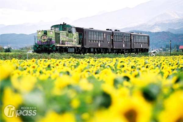 搭火車遊遍北海道，除省錢外還可欣賞沿途花海景觀。（圖片提供／JR北海道）