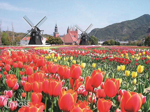 擁有花海與歐風庭園建築的豪斯登堡，為長崎著名的旅遊勝地。（圖片提供／豪斯登堡）