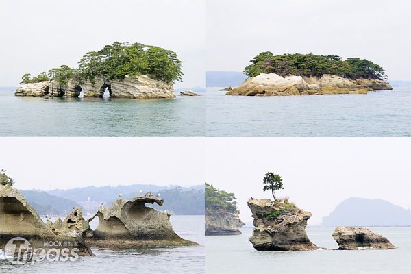 松島灣內小島外型不盡相同，也成為遊湖時的特殊景觀。（攝影／MOOK景點家旅遊生活網陳冠鑫）