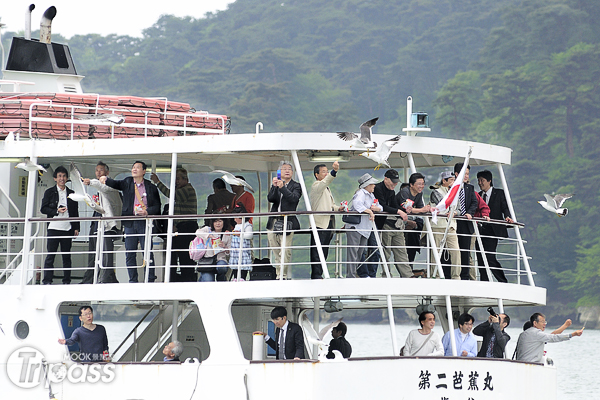 海鷗受到遊客手中蝦味先所吸引，不停追逐著遊覽船。（攝影／MOOK景點家旅遊生活網陳冠鑫）