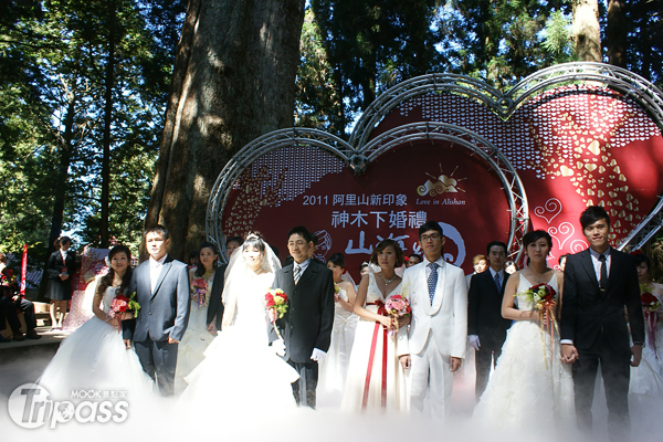今年的神木下婚禮活動，將於10月11～12日舉辦。（圖片提供／阿里山國家風景區管理處）