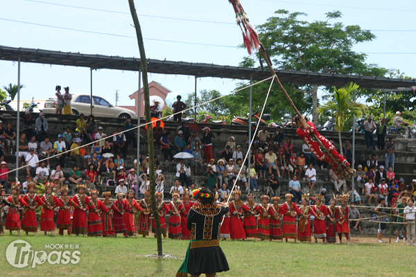 達魯瑪克部落收穫節暨鞦韆文化祭這個週五登場，勇士們正在趕建巨型鞦韆。（圖片提供／台東縣政府）