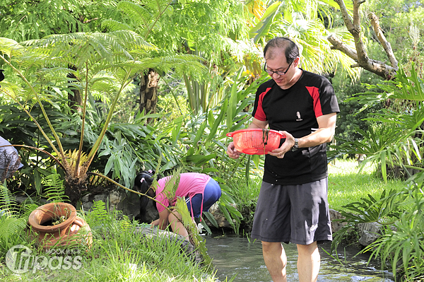 農場中的小溪清澈潔淨，是遊客重溫摸蜆抓魚蝦的最佳位置。（攝影／MOOK景點家旅遊生活網陳冠鑫）
