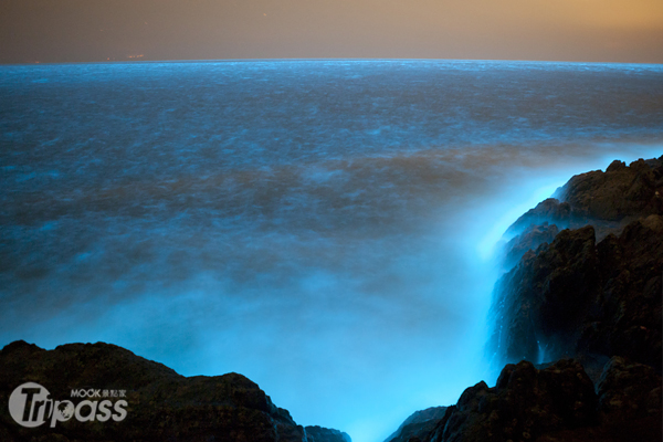 藍色啤酒海是海中的介形蟲及渦鞭毛藻發光所致，全馬祖皆可見。（圖片提供／顧哲嘉）