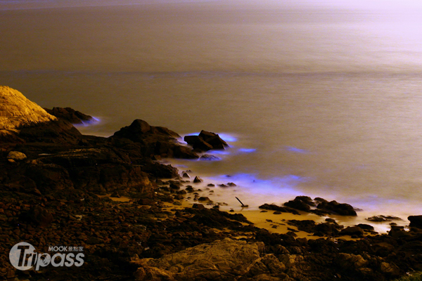 東莒大埔的藍色啤酒海景觀，在夜晚發出幽幽藍光，令人驚豔！（圖片提供／特有生物研究保育中心約聘助理方華德）