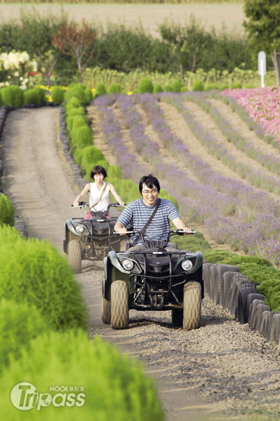 花田之丘提供越野車騎乘服務。（圖片提供／墨刻編輯室）