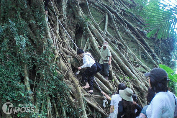 拜訪阿凡達原鄉，還可參與鸞山的攀爬體驗。（圖片提供／台東縣政府）