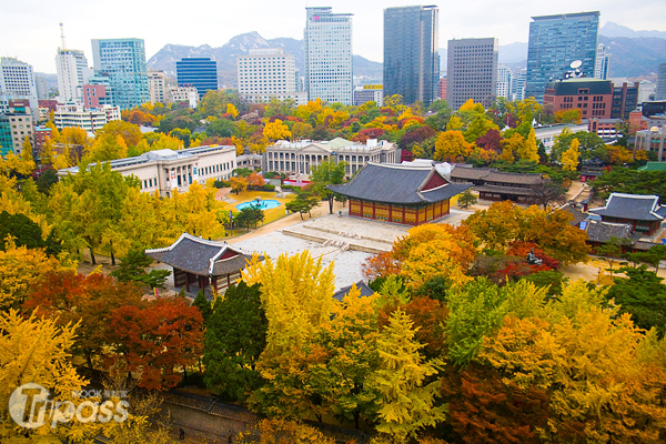 韓國賞楓季節即將到來，計畫秋天旅遊韓國的遊客，別忘了將賞楓納入行程中。（圖片提供／韓國觀光公社）