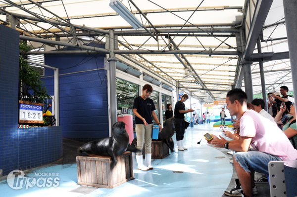 水族館內不時有大大小小的表演登場。（攝影／MOOK景點家旅遊生活網李欣怡）