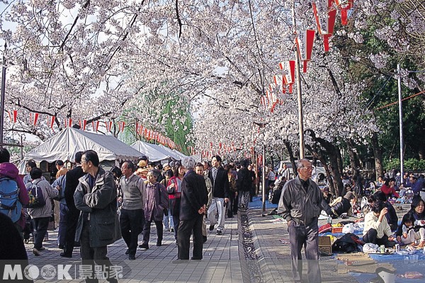 上野公園是東京冬季賞櫻的好去處。（圖片提供／墨刻編輯部）