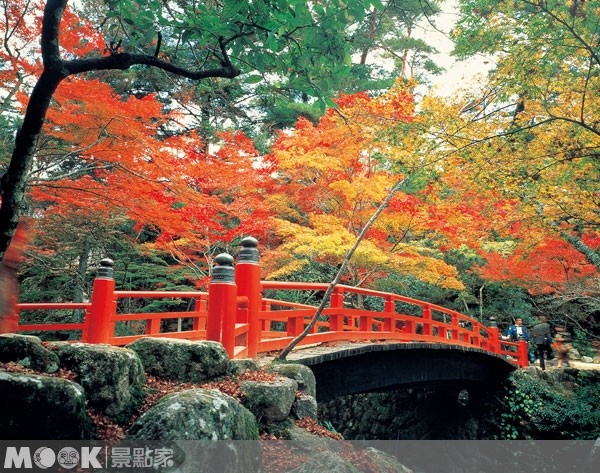 隨著時序步入秋季，楓葉逐漸將日本各處染成一片火紅。（圖片提供／墨刻編輯部）