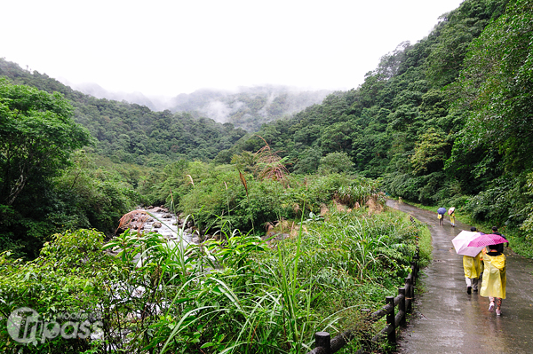 漫步在原始雨林步道中，擺脫山頭那一端的喧囂擾攘。（攝影／MOOK景點家旅遊生活網陳冠鑫）