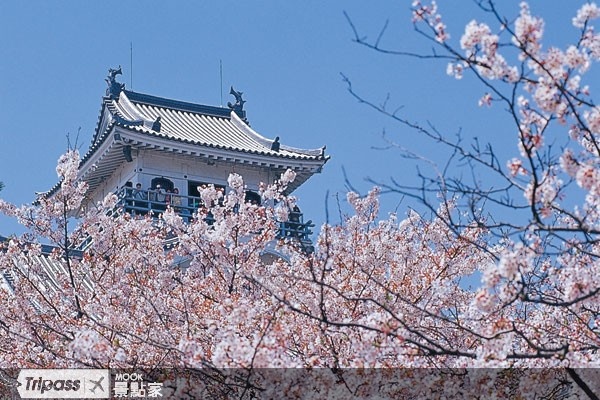 過年期間出國旅遊，精打細算的民眾不妨考慮價格下跌的日本及韓國釜山與濟州等地。（圖片提供／墨刻編輯部）