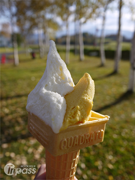 在一片金黃的落葉間品嚐香濃美味的冰淇淋。（攝影／墨刻編輯部呂宛霖）
