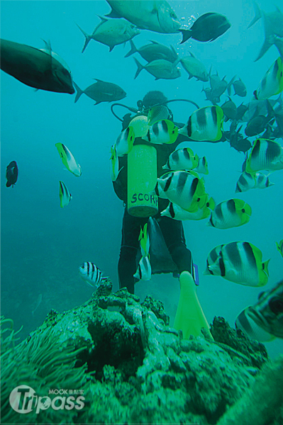 魚眼海洋公園也有低於海平面讓遊客欣賞海底世界的展望塔。（圖片提供／墨刻編輯部）