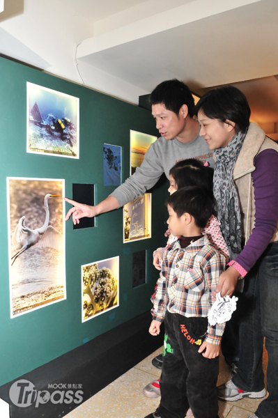 台灣「礁」點‧東沙環礁特展即日起在台博館展出，將帶領民眾認識台灣美麗的海洋瑰寶。（圖片提供／國立台灣博物館）