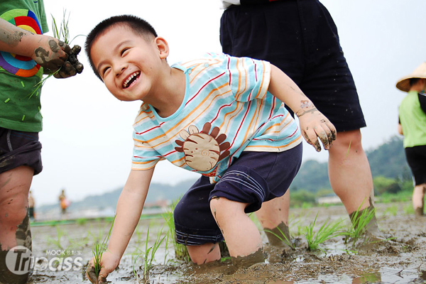 農委會農業兒童網將舉辦插秧活動，讓大小朋友體驗傳統稻米文化。（圖片提供／行政院農委會）