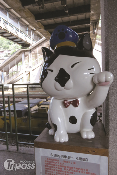 猴硐貓站長黑鼻。（圖片提供／新北市政府觀光旅遊局）