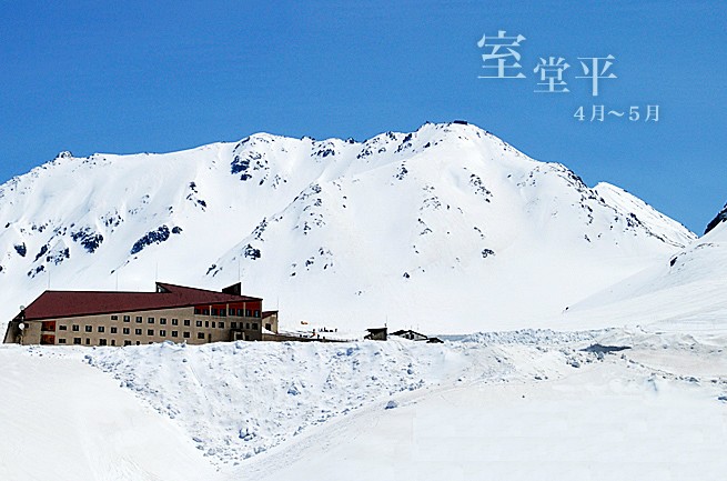 海拔2450公尺處的室堂平，雪量大積雪高，是「雪之大谷」主要區域（翻攝自立山黑部阿爾卑斯山路alpen-route官網）