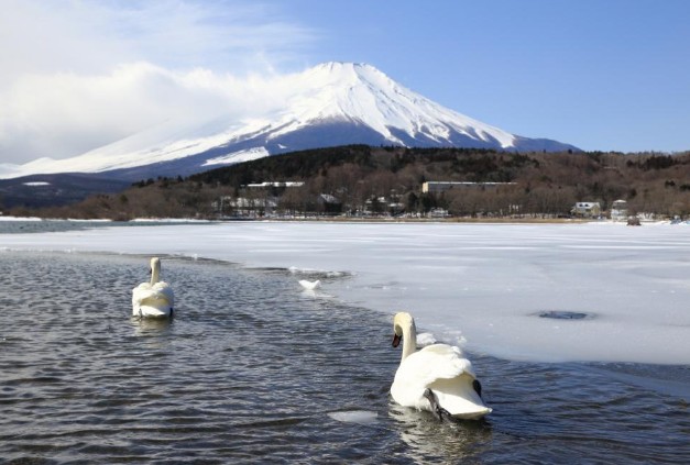 富士山四季美景風情萬種，湖光山色相當動人，圖為從山中湖欣賞富士山景緻。(圖片提供／富士山やまなし觀光推進機構)