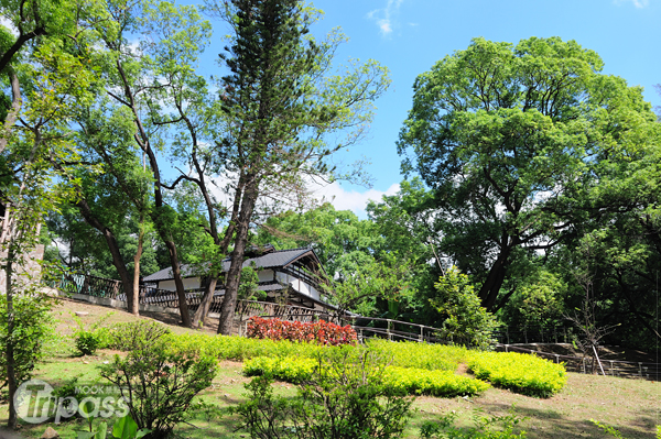 來趟簡單的公園輕旅行，享受征服大山大水所沒有的輕鬆愜意。（攝影／MOOK景點家旅遊生活網陳冠鑫）