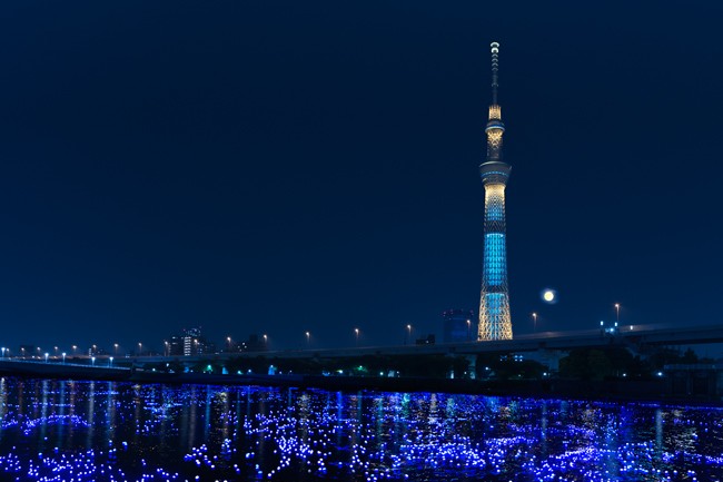 隅田川搖身一變水上銀河，與東京晴空塔相互輝映。（圖片來源／東京ホタル活動官網）