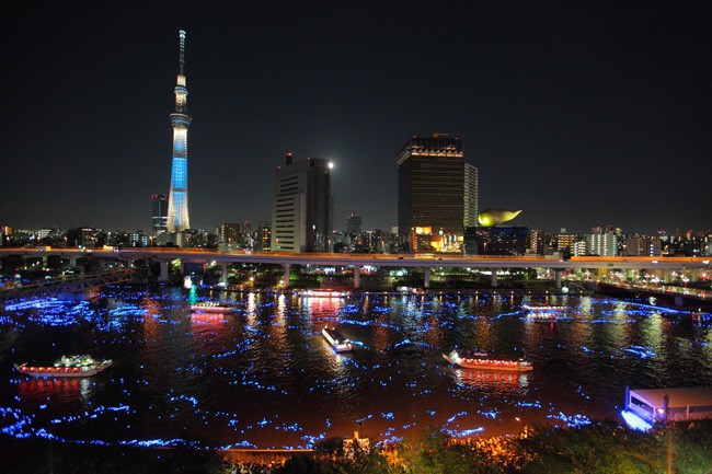 東京螢火蟲活動觀賞方式眾多，搭乘屋形船近距離觀賞並遠眺東京晴空塔，浪漫盡收眼底。（圖片來源／東京ホタル活動官網）