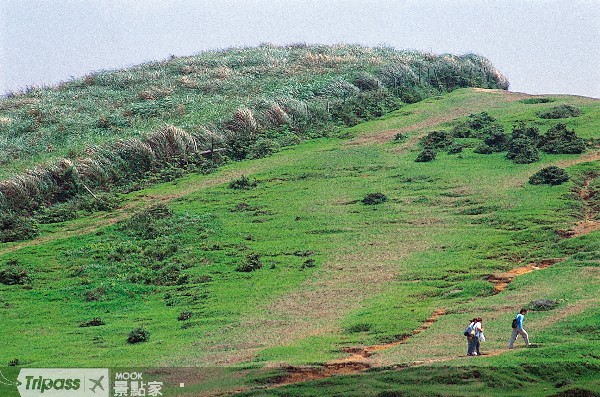 在台灣少見的山頂草原景致，晴天一望無際的景觀讓心曠神怡。（圖片提供／墨刻編輯部）