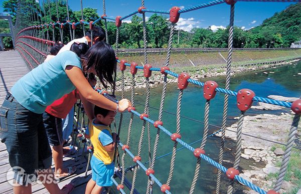 走在步道上，即可看見石斑、香魚、白鰻、鯉魚各種魚類翻游水面，無數反射到陽光的魚鱗閃閃發亮，像是「水中螢火蟲」。（圖片提供／墨刻編輯部）