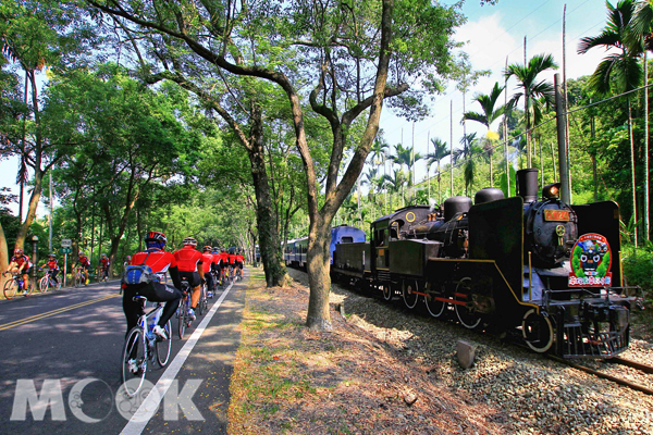 騎乘自行車於山林間，欣賞綠影婆娑下的蒸汽火車身影。（圖片提供／南投縣政府）