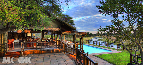 一面游泳，一面欣賞野生動物，可是非洲才有的獨特體驗。（圖片提供／Orient-Express Hotels Ltd.）