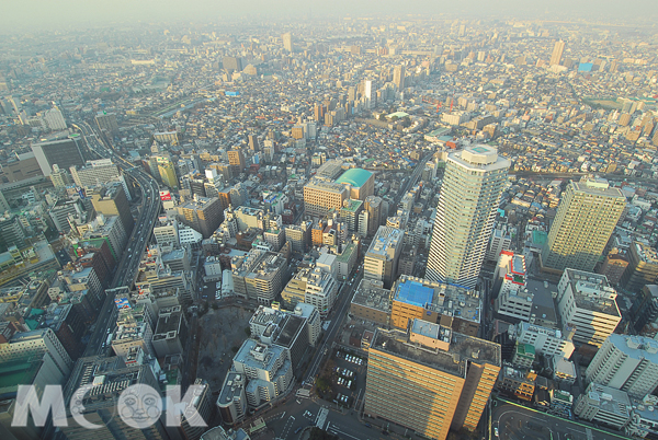 居高臨下俯瞰東京市景。（圖片提供／墨刻編輯部）