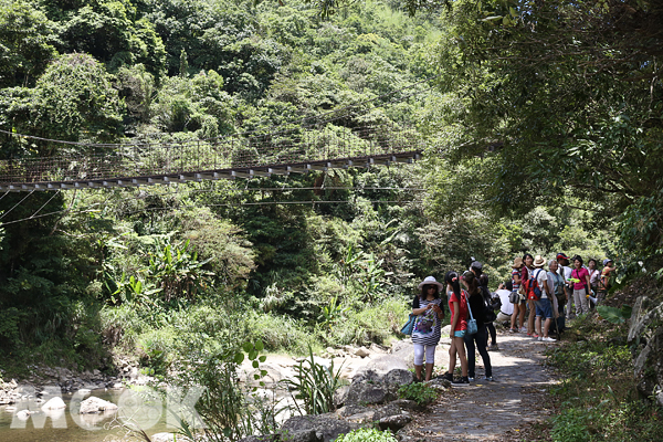 漫步闊瀨山林間，還可欣賞古意盎然的闊瀨吊橋。（圖片提供／新北市政府）