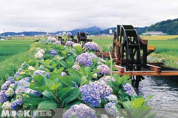 被稱為「日本最後的清流」的四萬十川，清澈見底，可看清水底下鵝卵石的紋路。（圖片提供／墨刻編輯部）