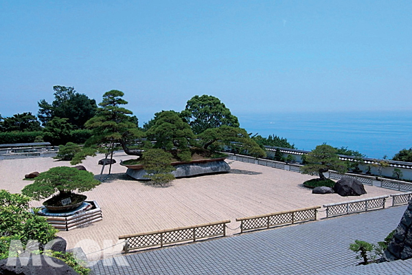 世界最大的松樹盆栽「鳳凰之松」，日式庭園造景充滿禪意。（圖片提供／TRAVELER Luxe旅人誌）