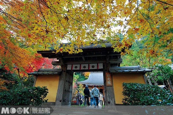 熱愛京都的網友們，不妨在楓葉轉紅的季節，安排一趟京都賞楓之旅吧！（圖片提供／墨刻編輯部）