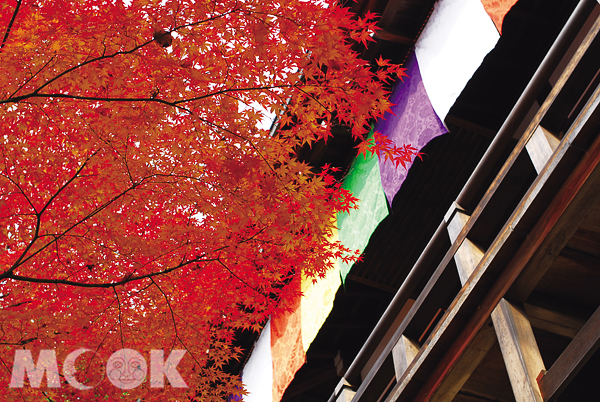 永觀堂最有名的，就是秋天的紅葉美景。（圖片提供／墨刻編輯部）