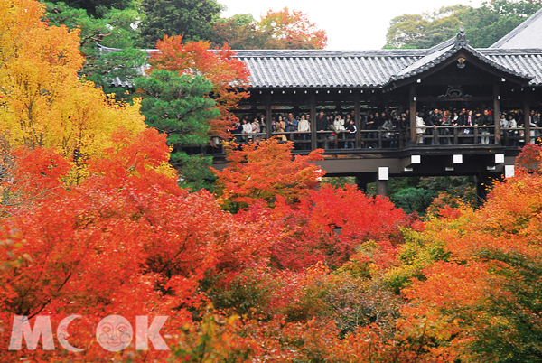 東福寺的火紅楓葉，讓秋之京都熱鬧非凡。（圖片提供／墨刻編輯部）