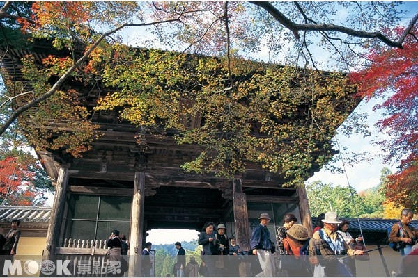 在眾多京都名寺古剎中，神護寺也是頗負盛名的賞紅葉山寺。（圖片提供／墨刻編輯部）