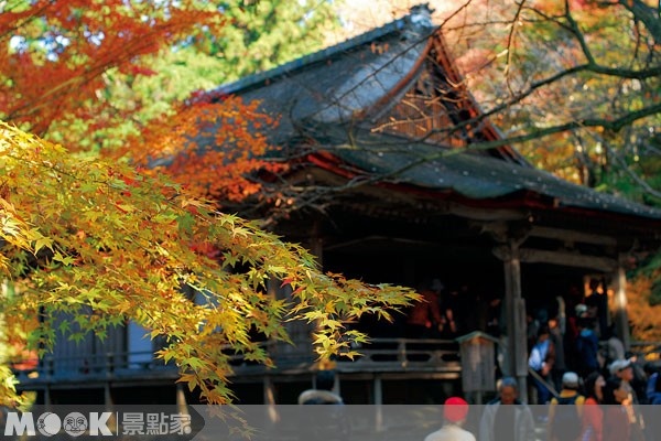 三千院為京都欣賞櫻花和紅葉的名所。（圖片提供／墨刻編輯部）