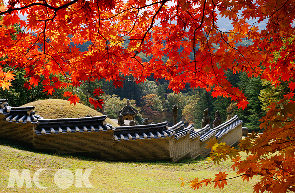 隨著時序步入秋季，韓國的賞楓季節也將登場。（圖片提供／韓國觀光公社）