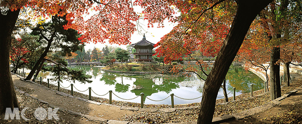 位於首爾的景福宮，到了秋天紅葉暈染時分，展現另一種古韻之美。（圖片提供／韓國觀光公社）
