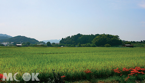 初秋的飛鳥原野。（圖片提供／TRAVELER Luxe旅人誌）