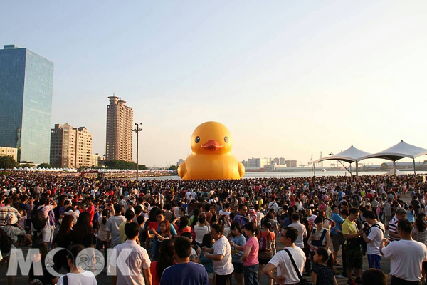 黃色小鴨在19日正式和大家見面，首日便超過20萬人次湧入光榮碼頭。（圖片提供／高雄市政府）