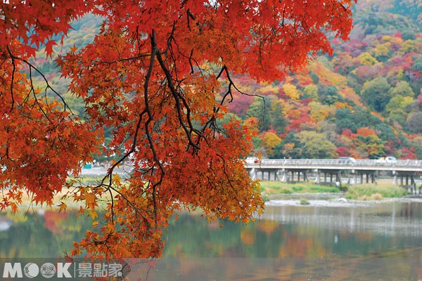 京都嵐山在大水退去後，逐漸恢復往日秋季的旅遊人潮。（圖片提供／墨刻編輯部）