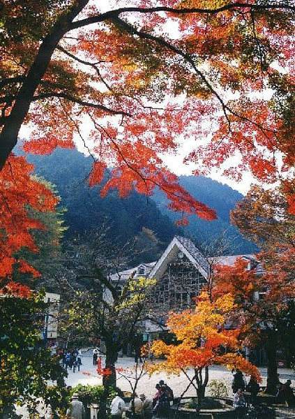 物種豐富的高尾山，是東京近郊的賞楓名所。（圖片來源／取自kouyou.nihon-kankou.or.jp網站）